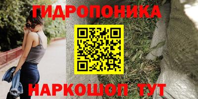 каннабис Сланцы