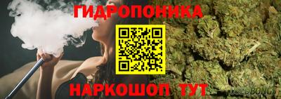МДПВ Славгород