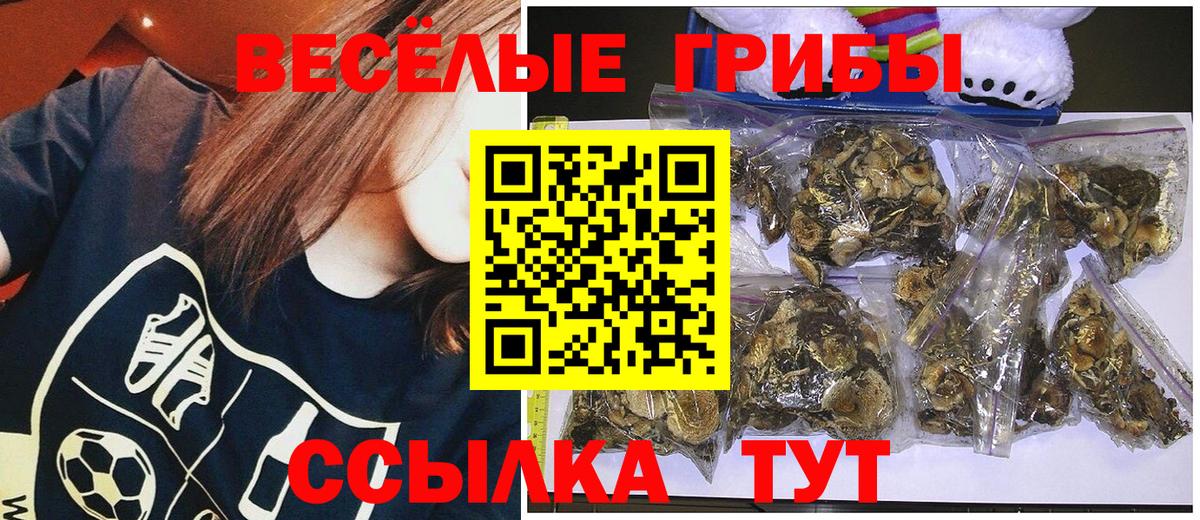 Псилоцибиновые грибы Psilocybe Октябрьский