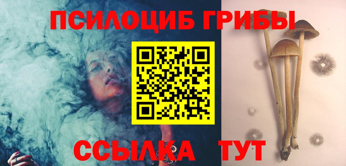 Псилоцибиновые грибы мицелий  Вход с VPN  Галлюциногенные грибы Psilocybine cubensis  Октябрьский 